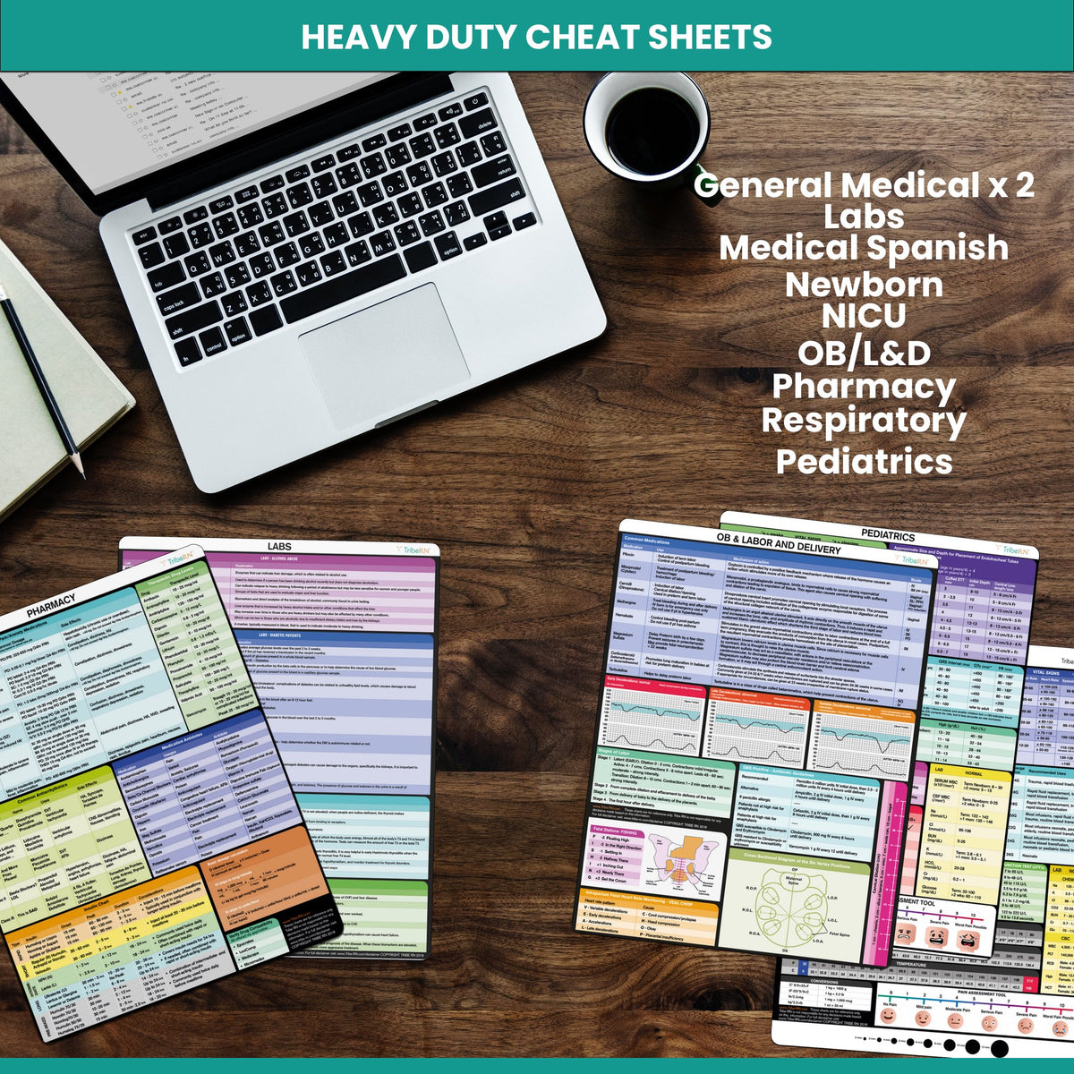 Nursing Essentials Cheat Sheet Set